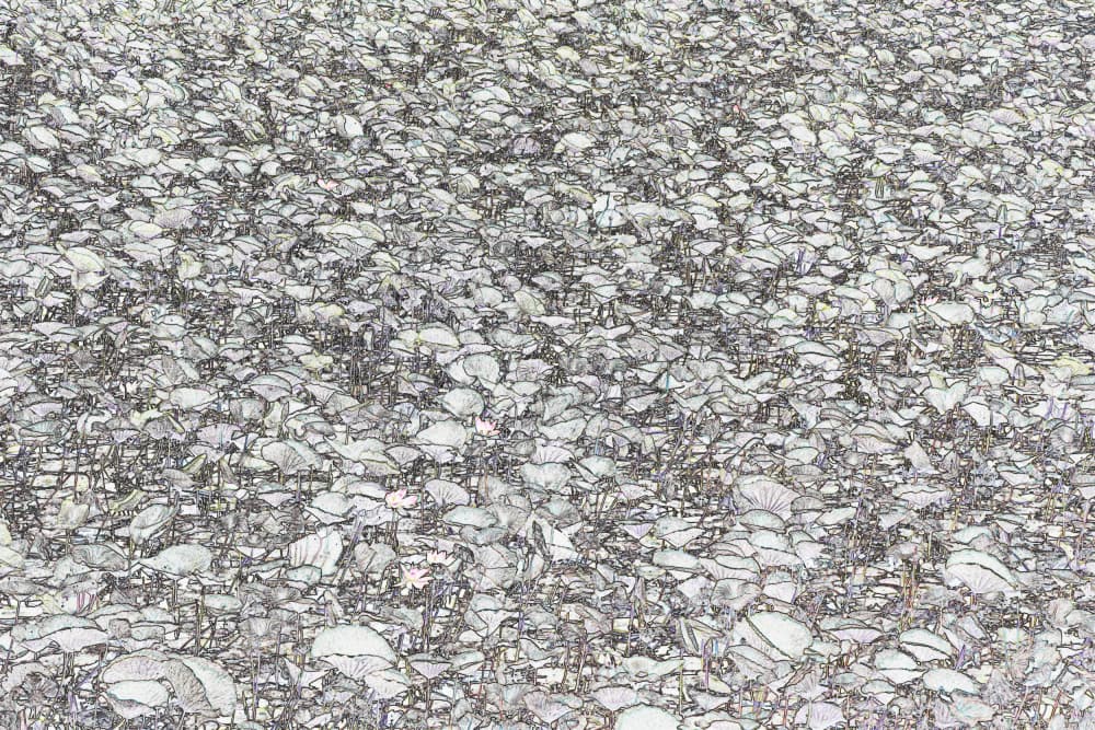 Delicate Silver Leaves by Santhosh ch — canvas wall art