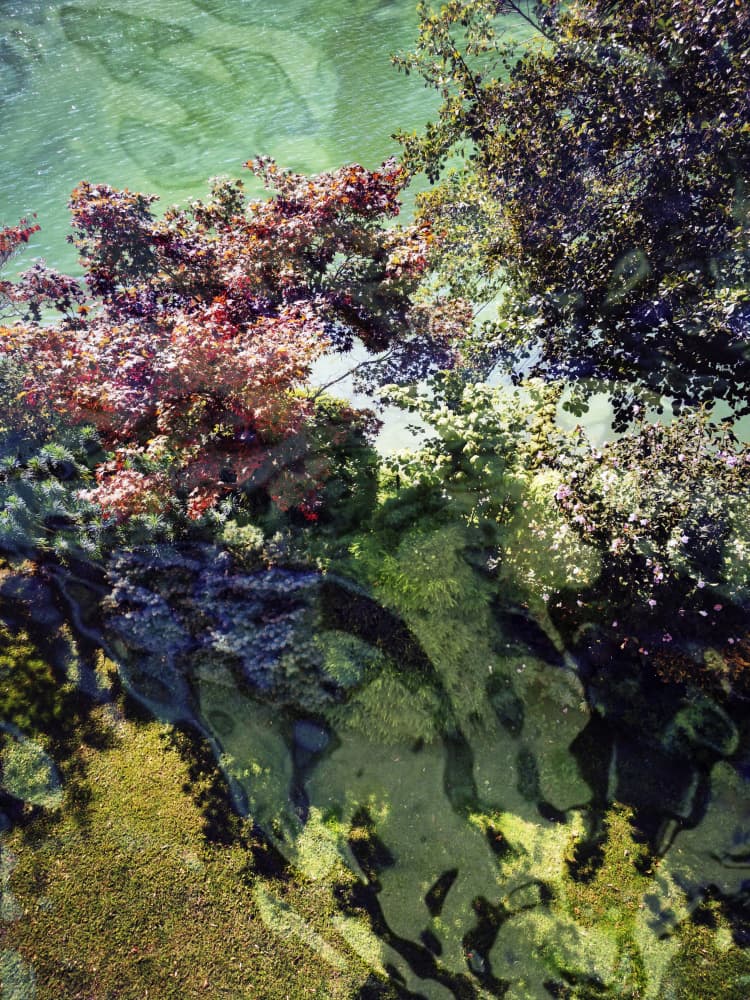 Autumn Water Reflections by Angelo Cerantola — canvas wall art