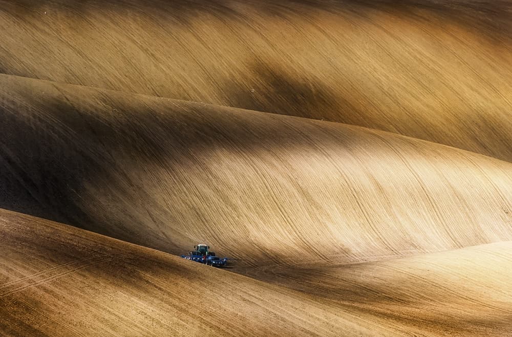 Golden Fields and Tractor by Piotr Krol (Bax) — canvas wall art