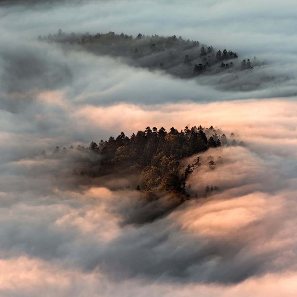 Forest Above Golden Clouds by Slawomir Kowalczyk AFRP  FIAP  IAAP — canvas wall art