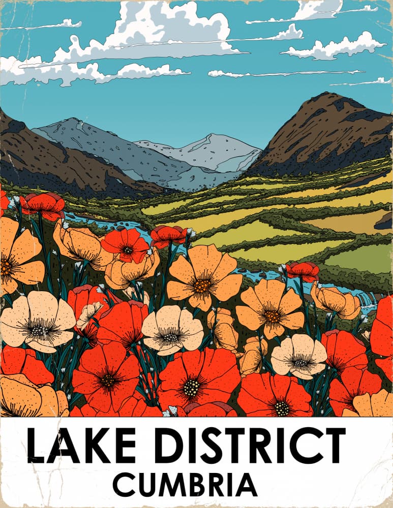 Lake District Wildflowers by Nicholas — canvas wall art