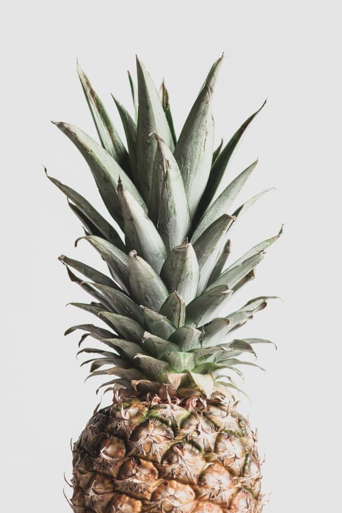 Fresh Tropical Pineapple by Pictufy Studio III — canvas wall art