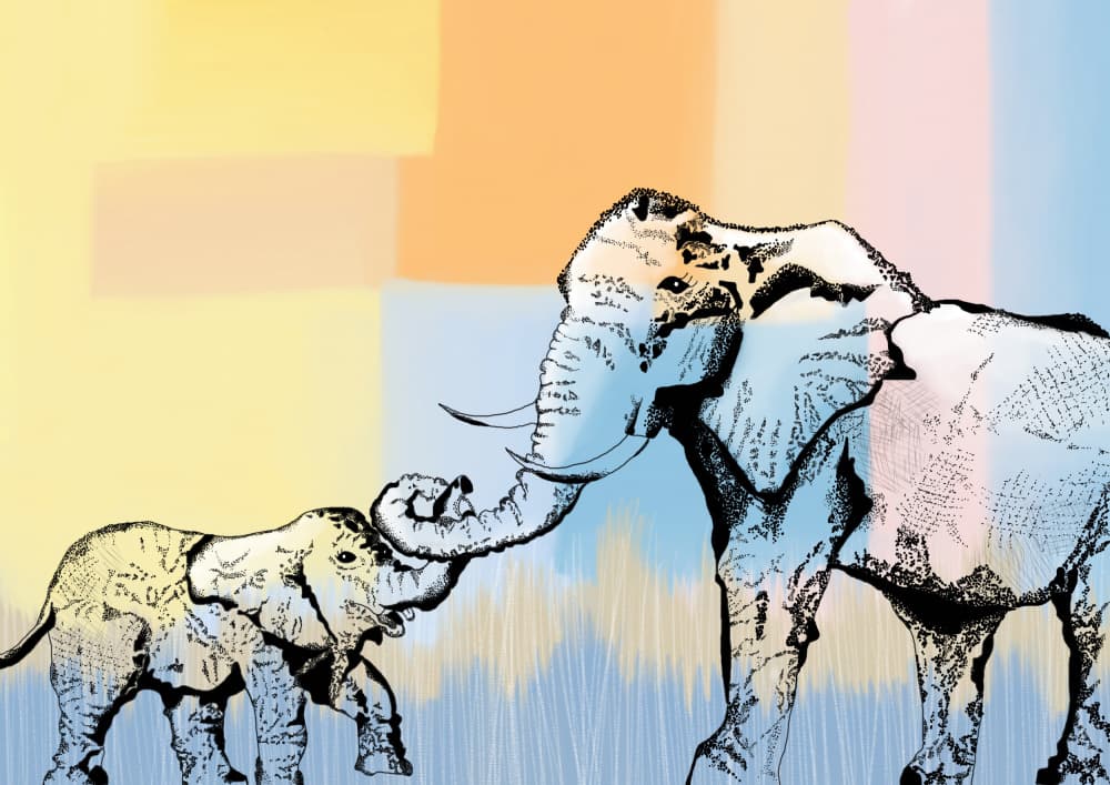 Warm Elephant Embrace by Art by the Ocean — canvas wall art