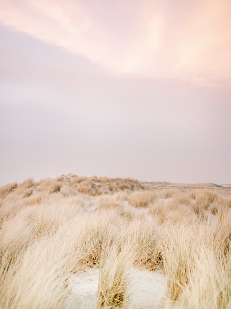 Ameland Dunes 2 by Raisa Zwart — canvas wall art