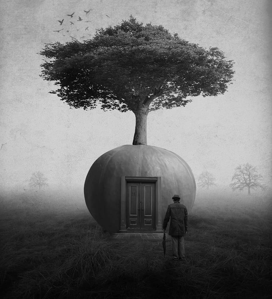 Man At Mystery Door by Hari Sulistiawan — canvas wall art