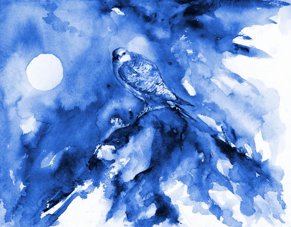 Moonlit Blue Falcon by RodMacIver — canvas wall art