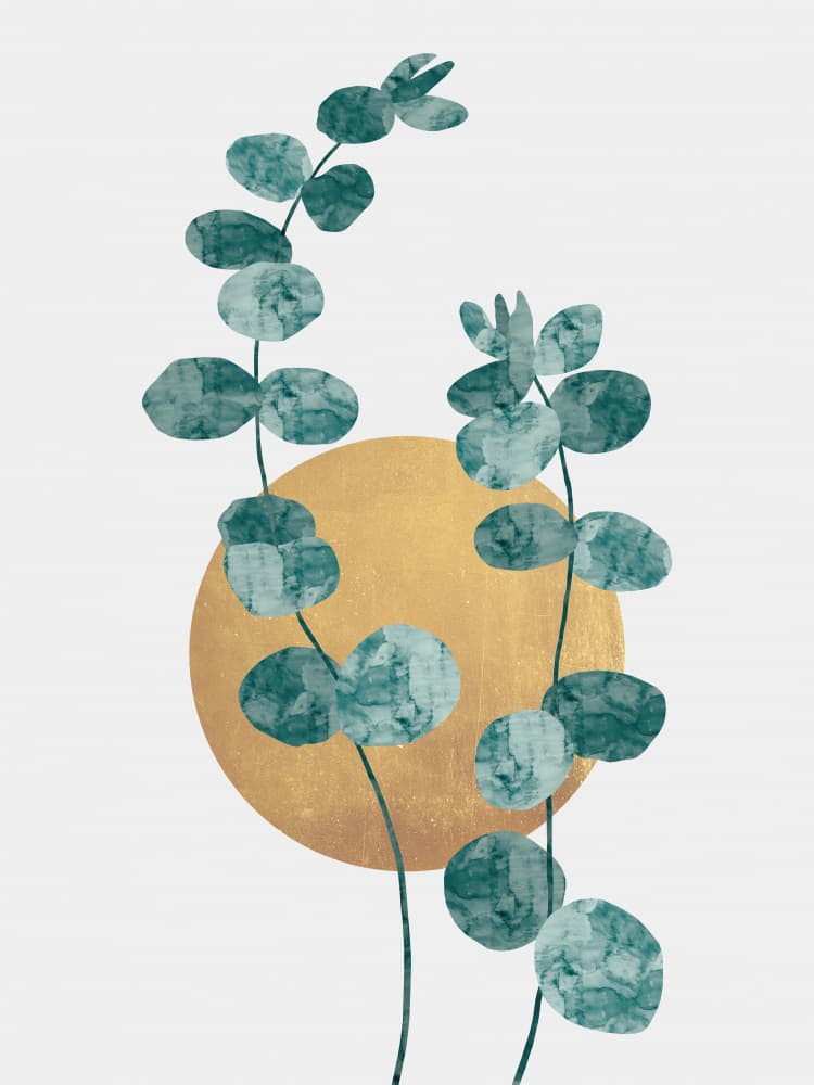 Eucalyptus Gold Circle by Vitor Costa — canvas wall art