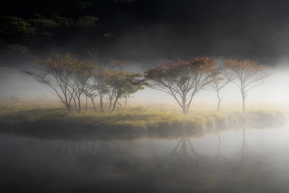 Misty Morning Reflection by Syunsuke Narita — canvas wall art