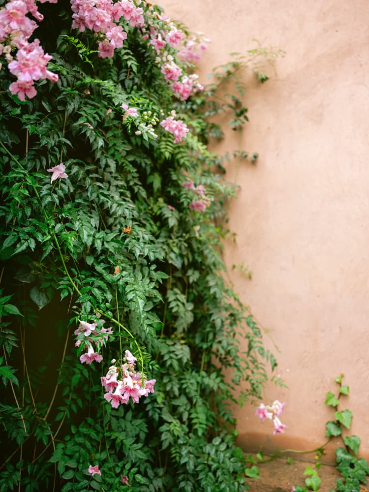 Flowers of Marrakech by Raisa Zwart — canvas wall art