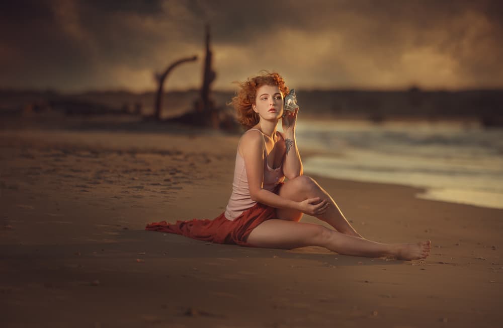 Seaside Shell Dream by Evgeny Loza — canvas wall art