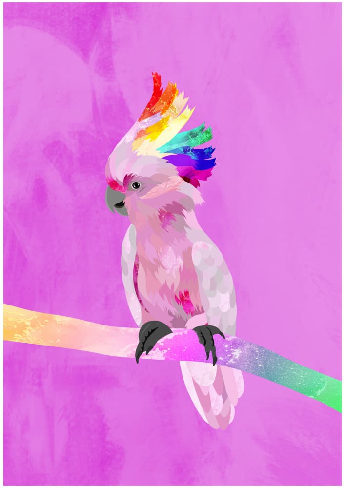 Pink Rainbow Cockatoo by Sarah Manovski — canvas wall art