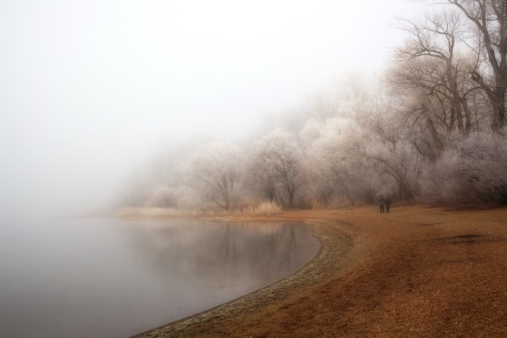 Misty Winter Lake by Hans Peter Rank — canvas wall art
