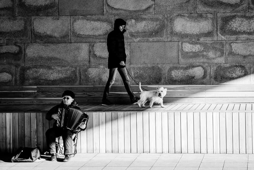 Street Musician and Dog by Oleg Dudko — canvas wall art