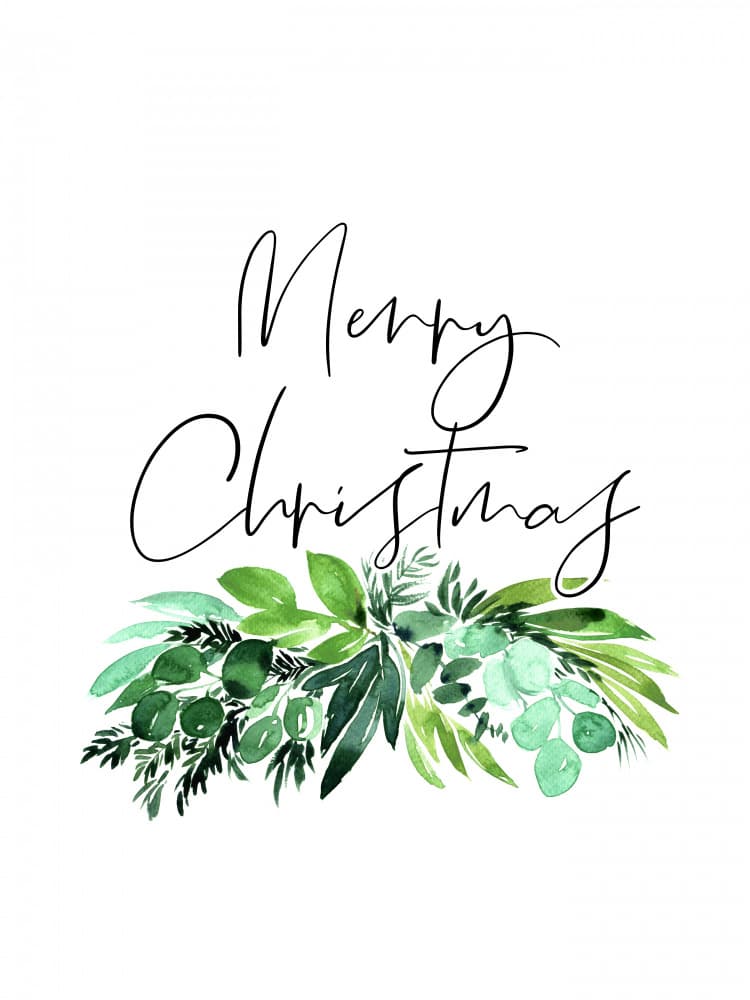 Merry Christmas Greenery by Rosana Laiz Blursbyai — canvas wall art