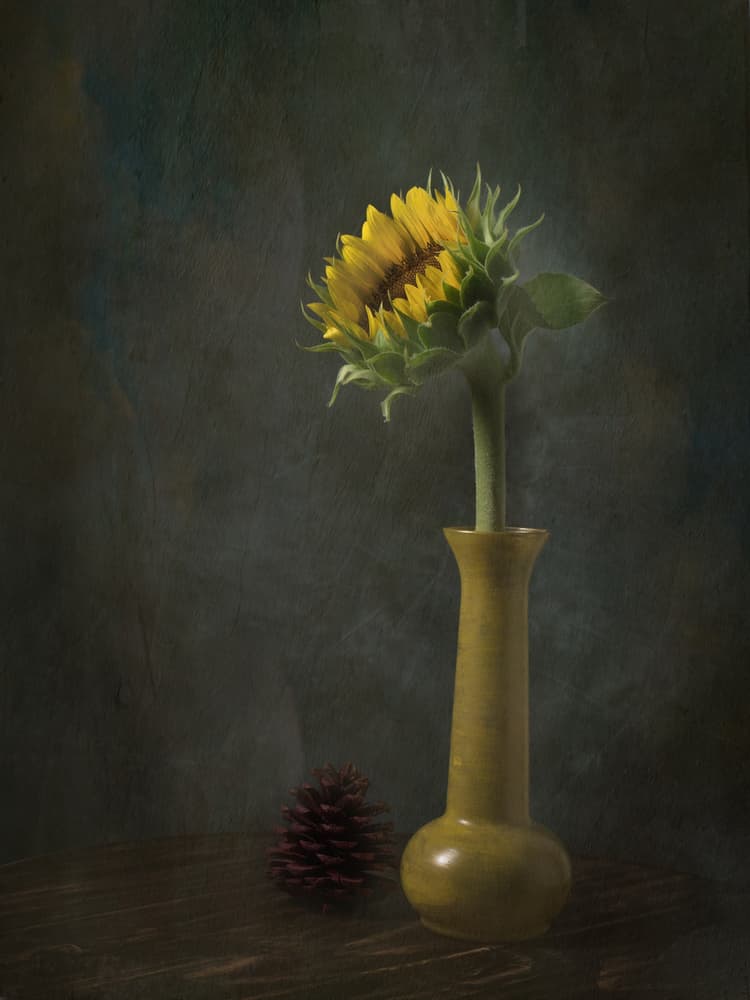 Rustic Sunflower Still Life by EDUARDO LLERANDI — canvas wall art