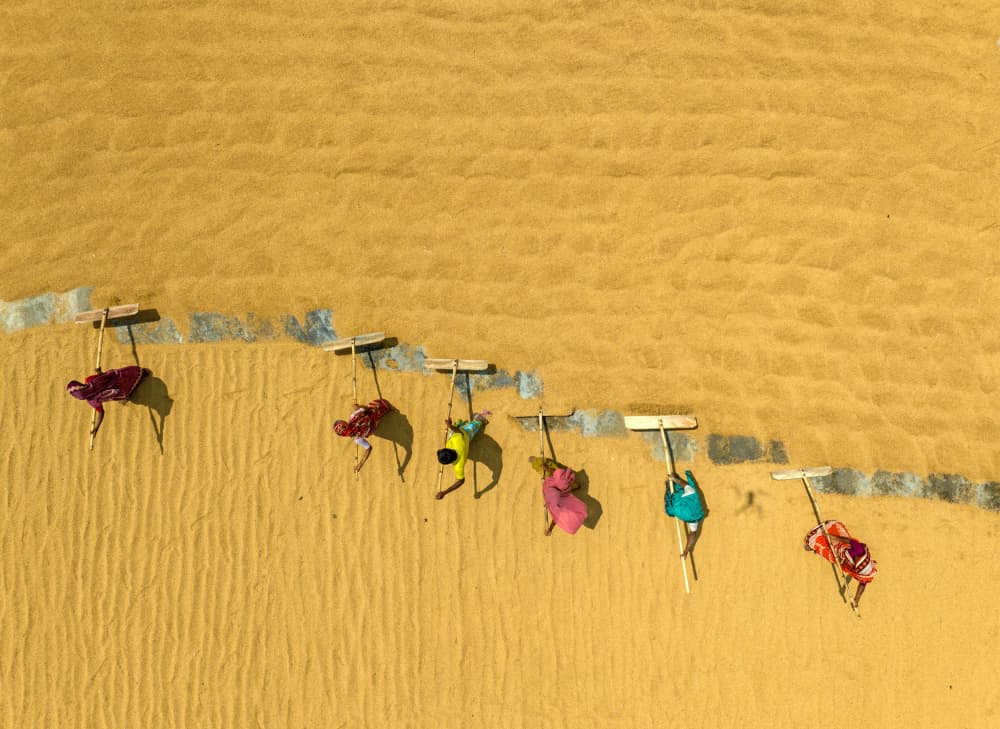 Golden Grain Workers by Azim Khan Ronnie — canvas wall art