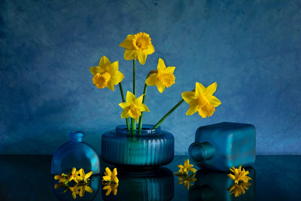 Yellow Daffodils Blue Vases by Wendy Xu — canvas wall art