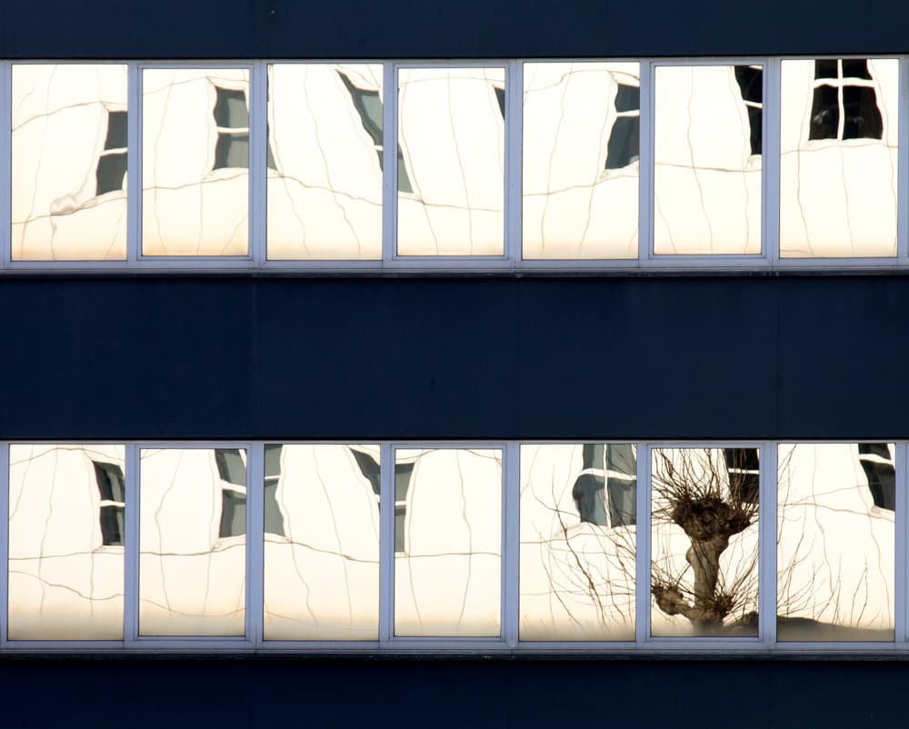 Bare Tree Window Reflection by Jef Flour — canvas wall art