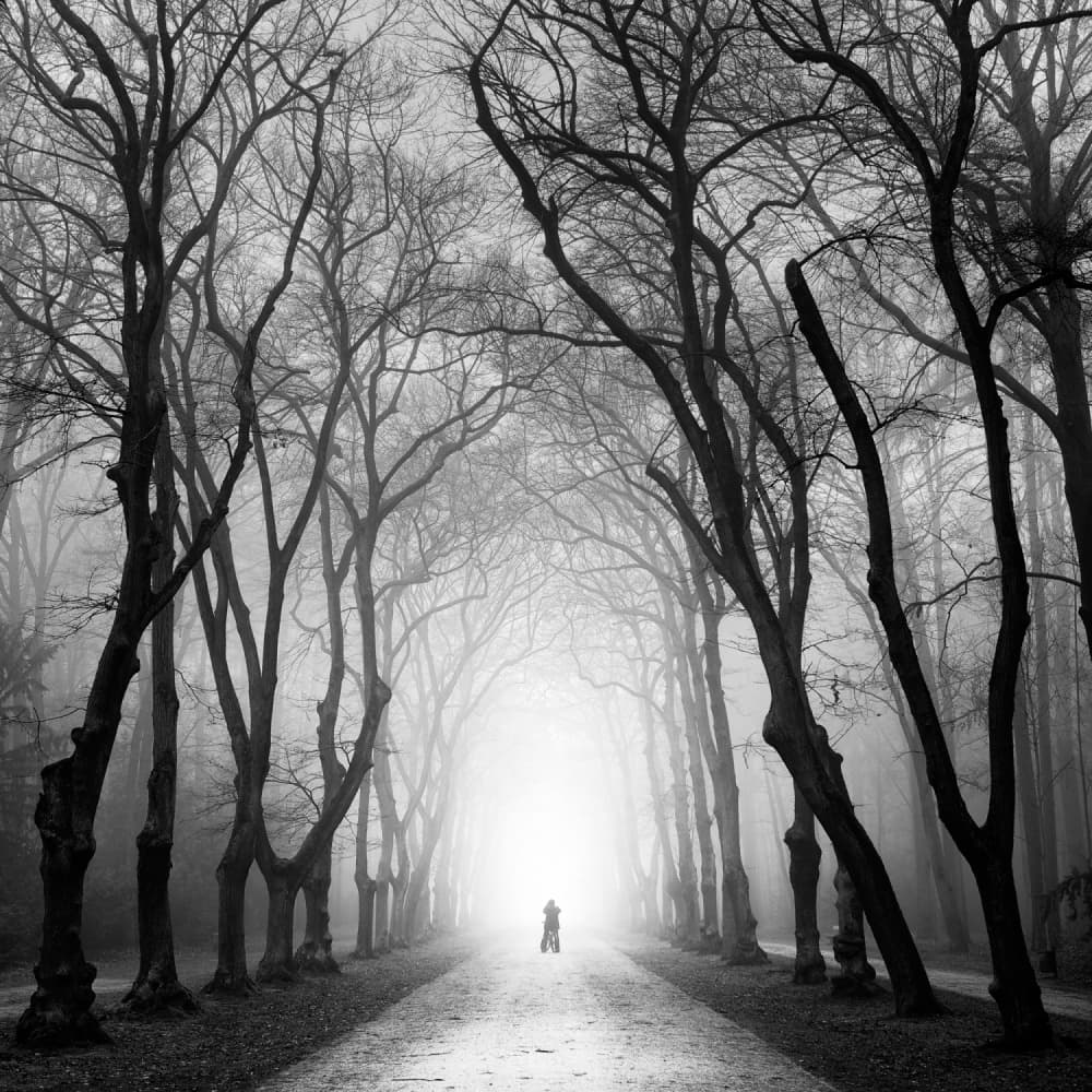 Misty Path Solitary Figure by Martin Rak — canvas wall art