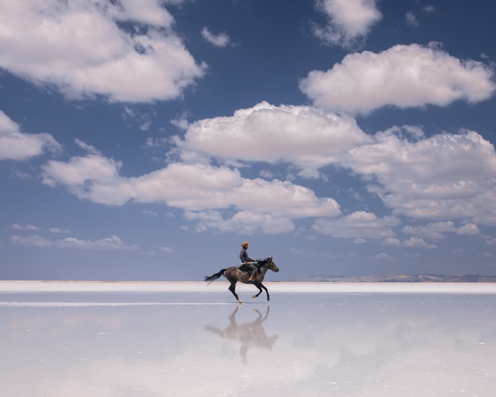 Lone Horseman Reflection by Tugrul Tekbulut — canvas wall art