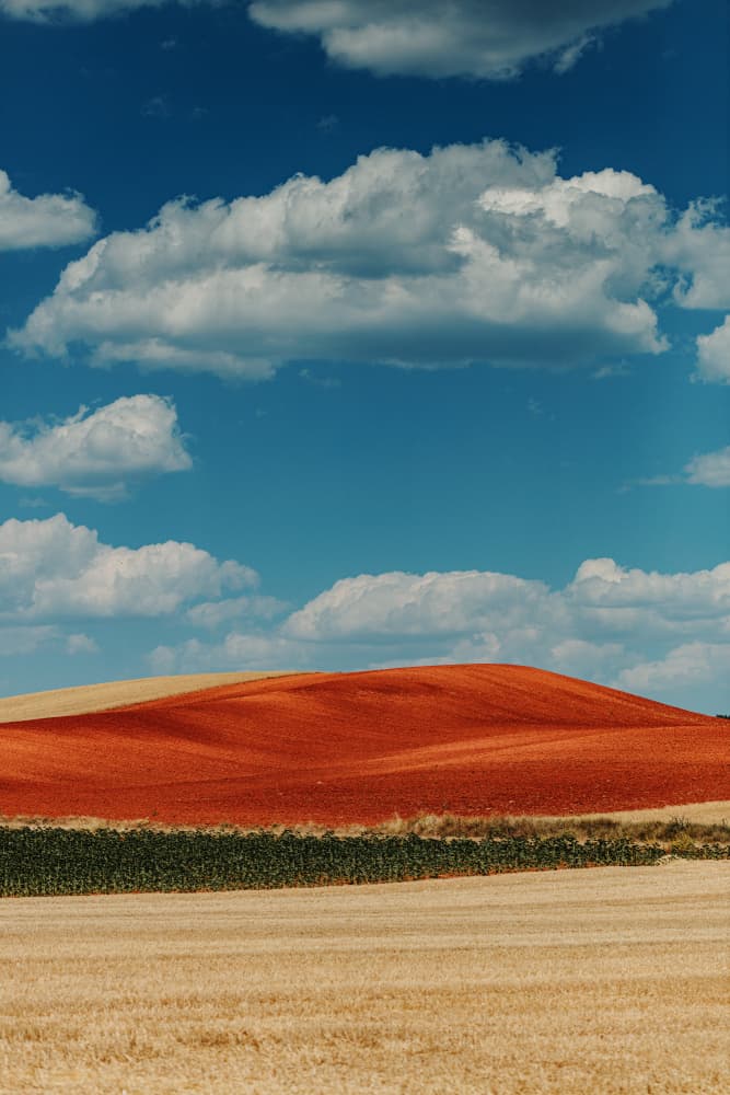Red Field Blue Sky by Javier Pardina — canvas wall art