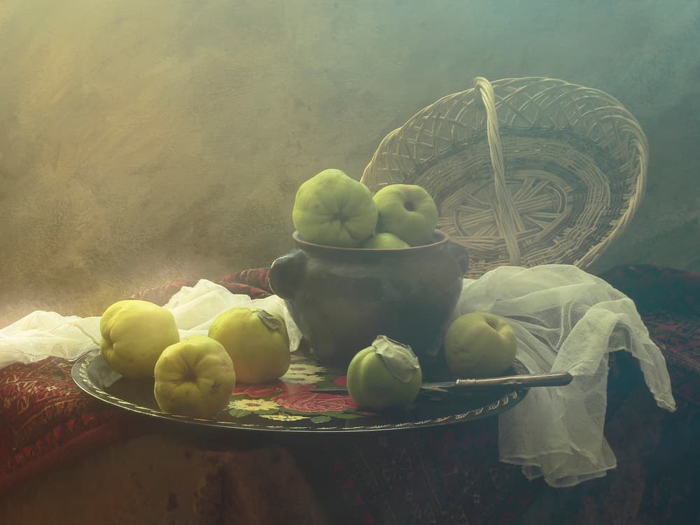Rustic Quince Still Life by UstinaGreen — canvas wall art