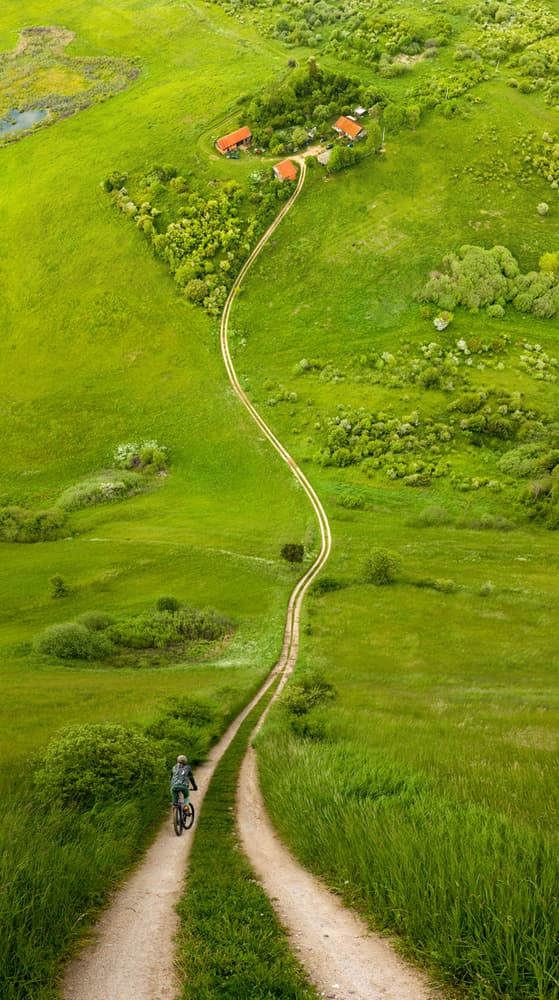 Winding Green Path by Wojciech Kruczynski — canvas wall art