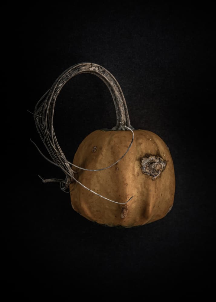 Dark Rustic Gourd by The Learning Curve Photography — canvas wall art