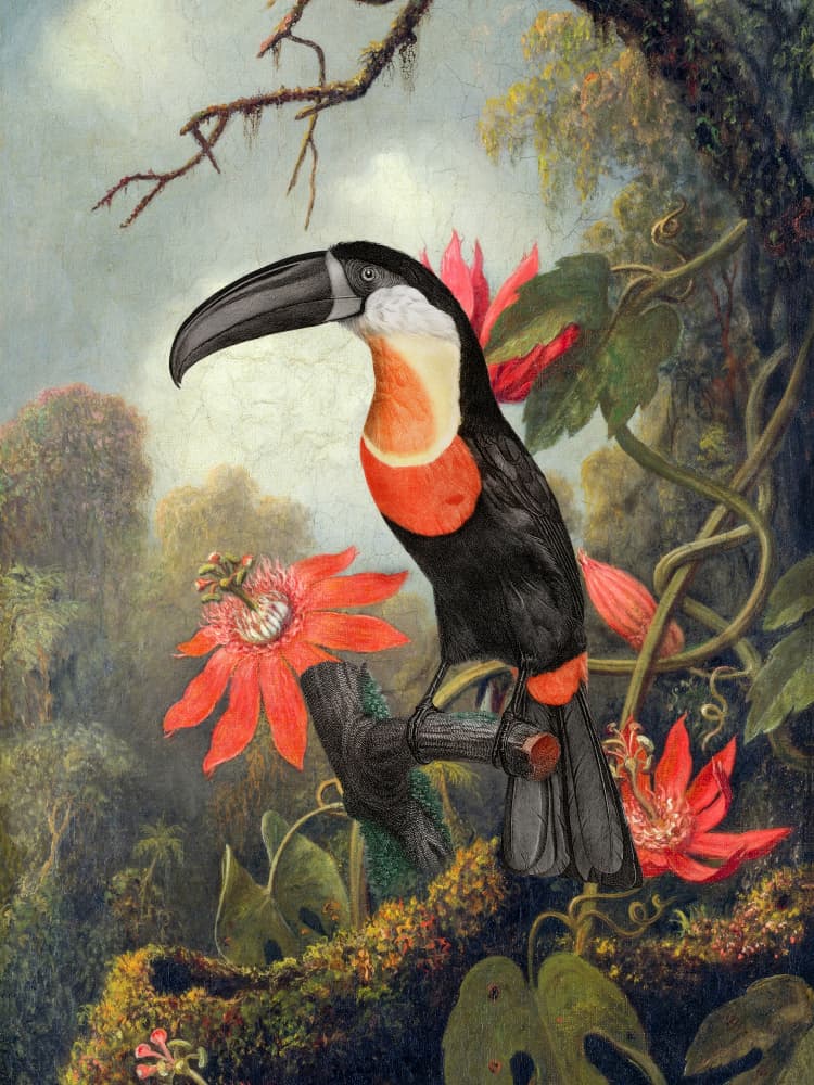 Vibrant Jungle Toucan by Marja van den Hurk — canvas wall art