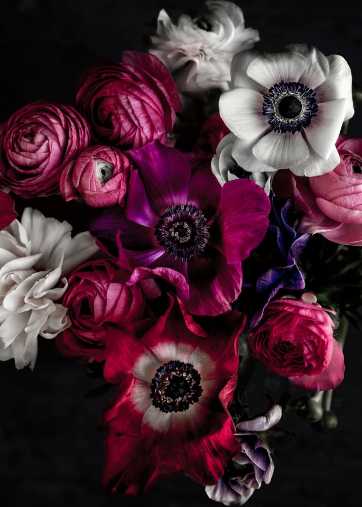 Dark Flowers 1 by Mareike Böhmer — canvas wall art