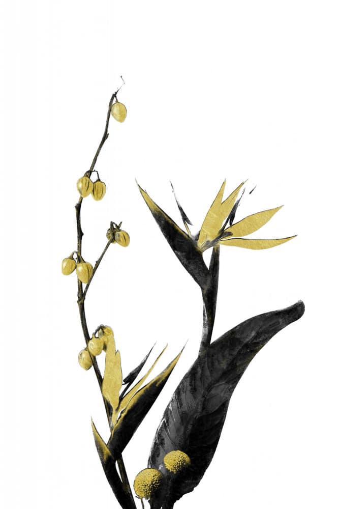 Golden Bird Paradise by amini54 — canvas wall art