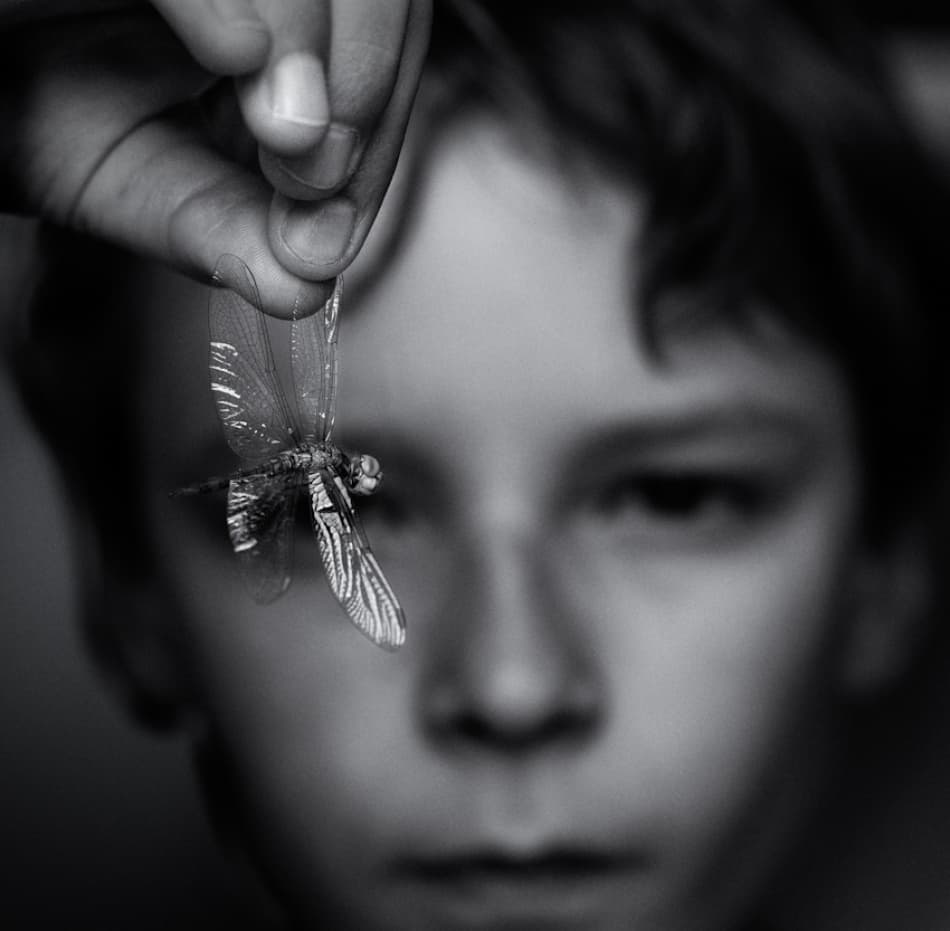 Curious Child and Dragonfly by Mirjam Delrue — canvas wall art