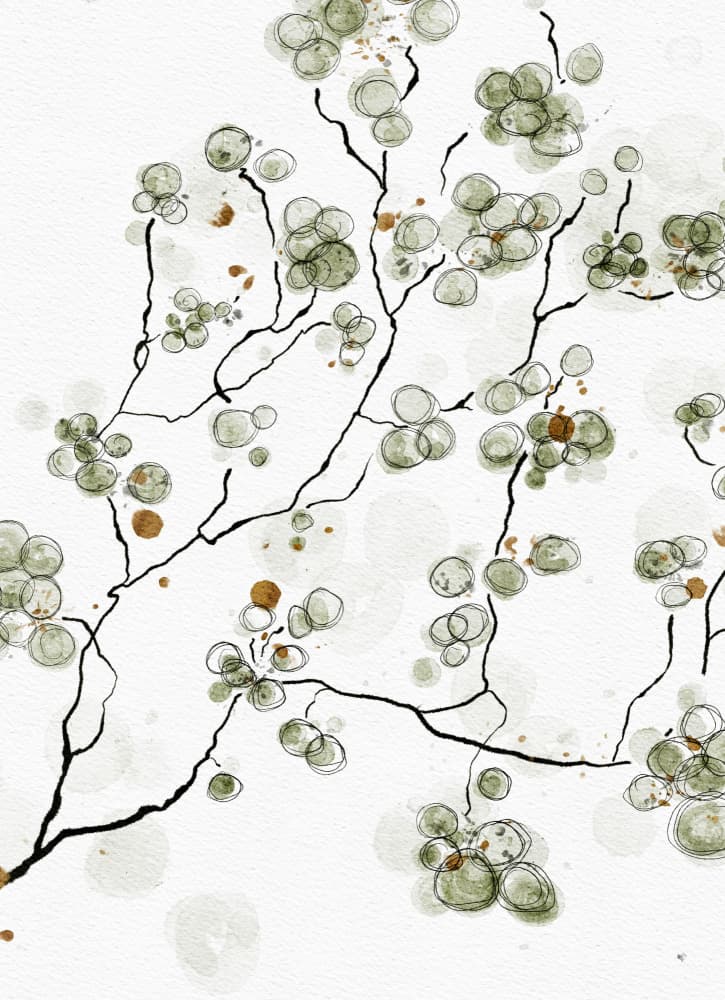 Delicate Green Branches by Ankie Kooi — canvas wall art