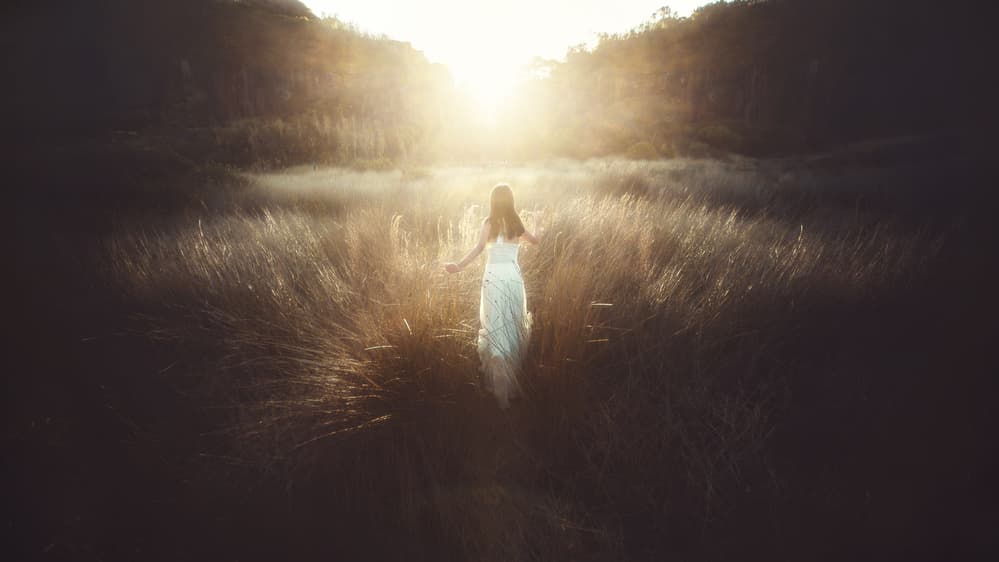 Path To Light by Terry F — canvas wall art