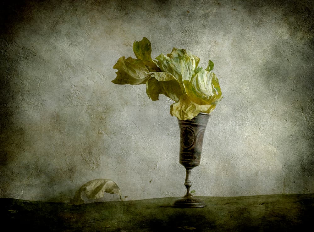Withered Lettuce Goblet by Igor Tokarev — canvas wall art