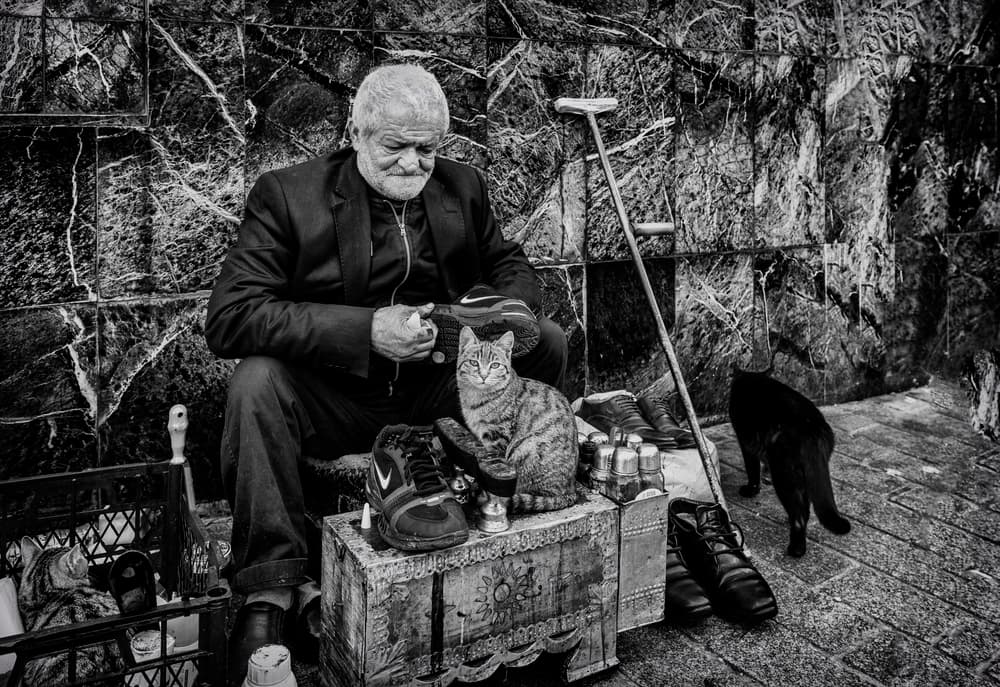 Shoemaker and His Cats by Ömer Ates Kızıltug — canvas wall art