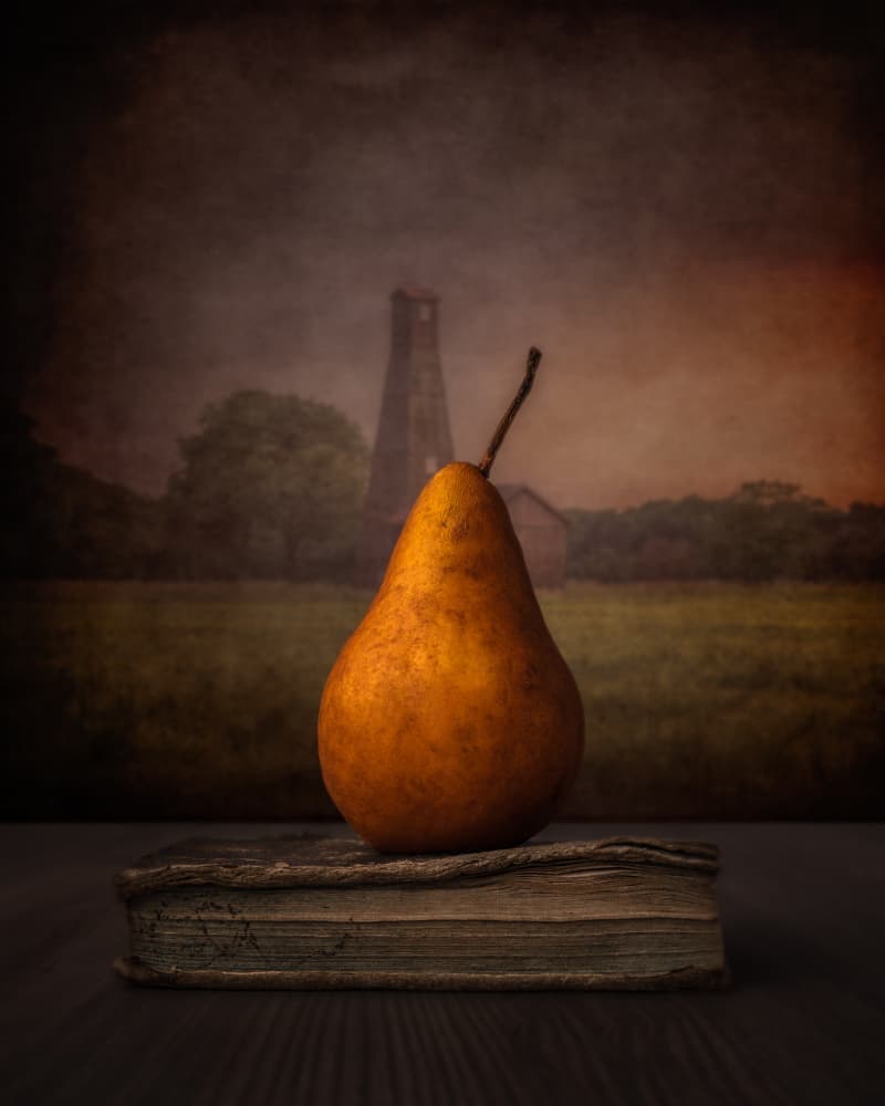 Golden Pear On Book by Marko Klavs — canvas wall art