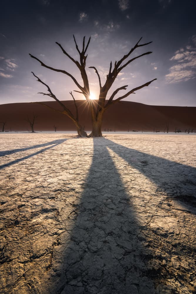 Desert Morning Sunburst by Karol Nienartowicz — canvas wall art