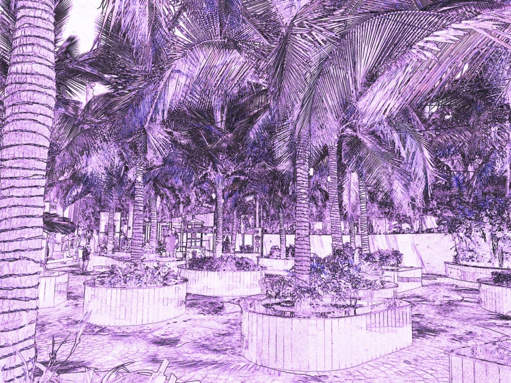 Purple Palm Garden by Santhosh ch — canvas wall art