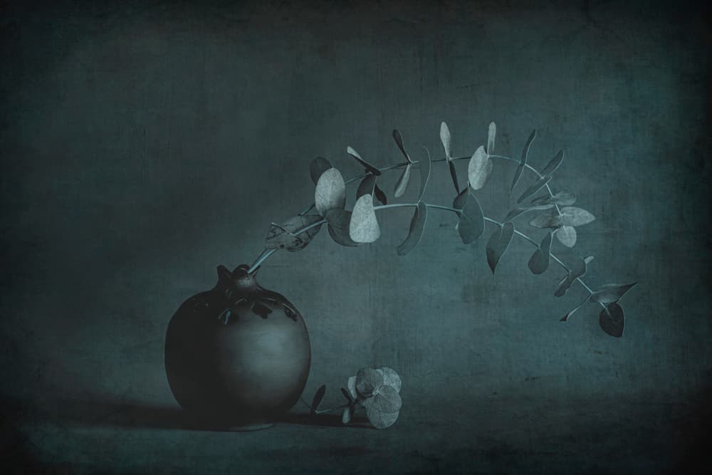 Moody Eucalyptus Still Life by Cicek Kiral — canvas wall art