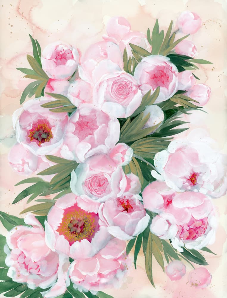 Blushing Peony Blooms