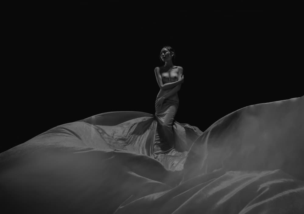 Graceful Fabric Form by Tran Van Truong — canvas wall art