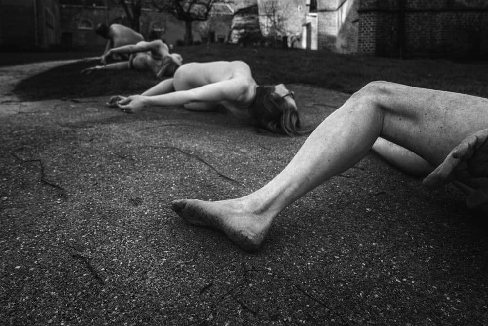 Naked Figures on Ground by Ton Dirven — canvas wall art