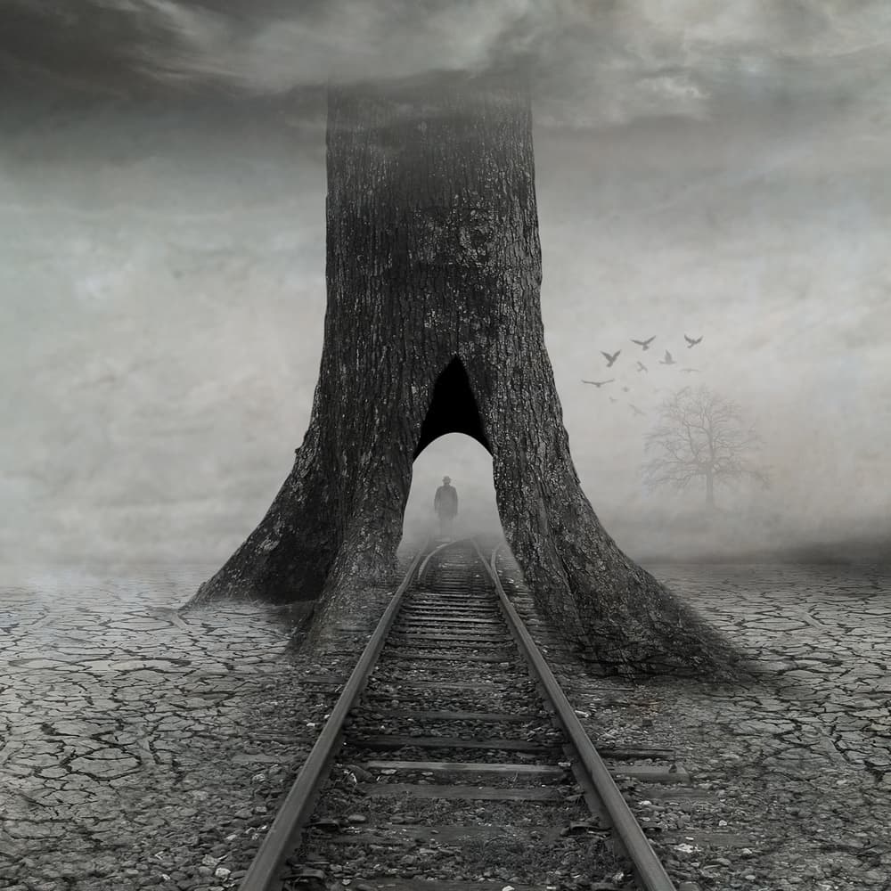 Mysterious Tree Tunnel by Hari Sulistiawan — canvas wall art