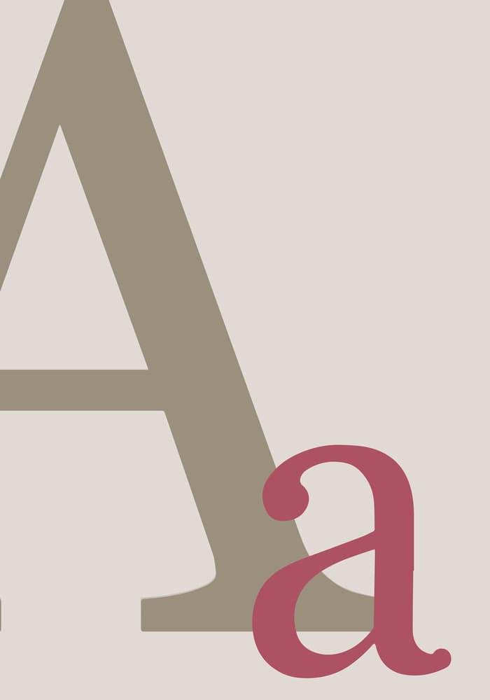 Capital and Lowercase A by Pictufy Studio II — canvas wall art