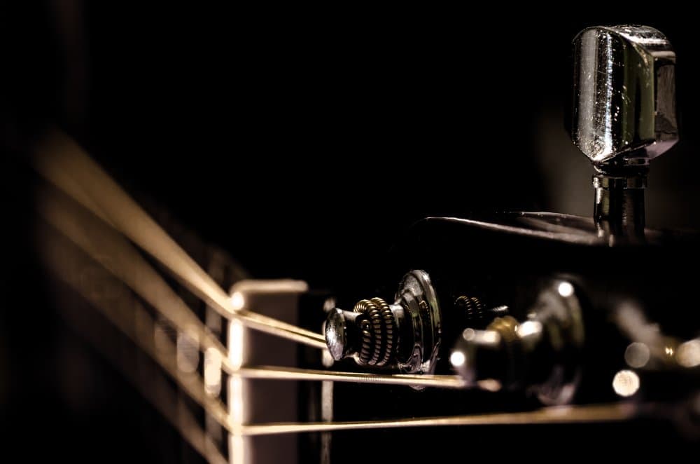 Warm Acoustic Guitar by Flavio Bertazzi — canvas wall art