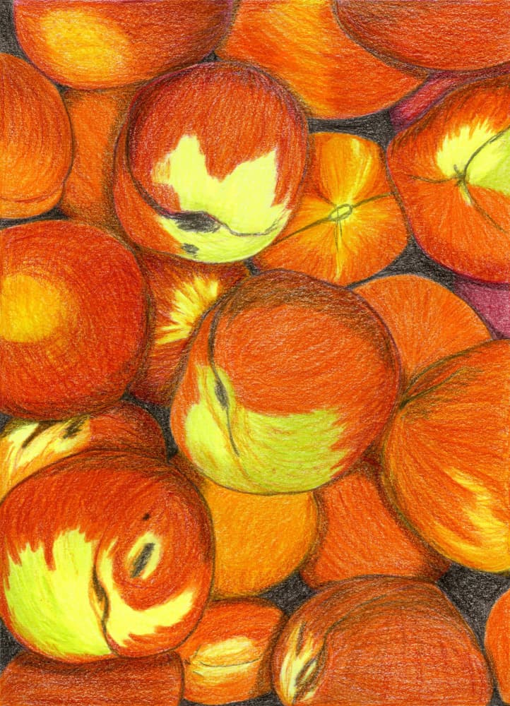 Vibrant Fresh Peaches by Viktoriia Saunina — canvas wall art