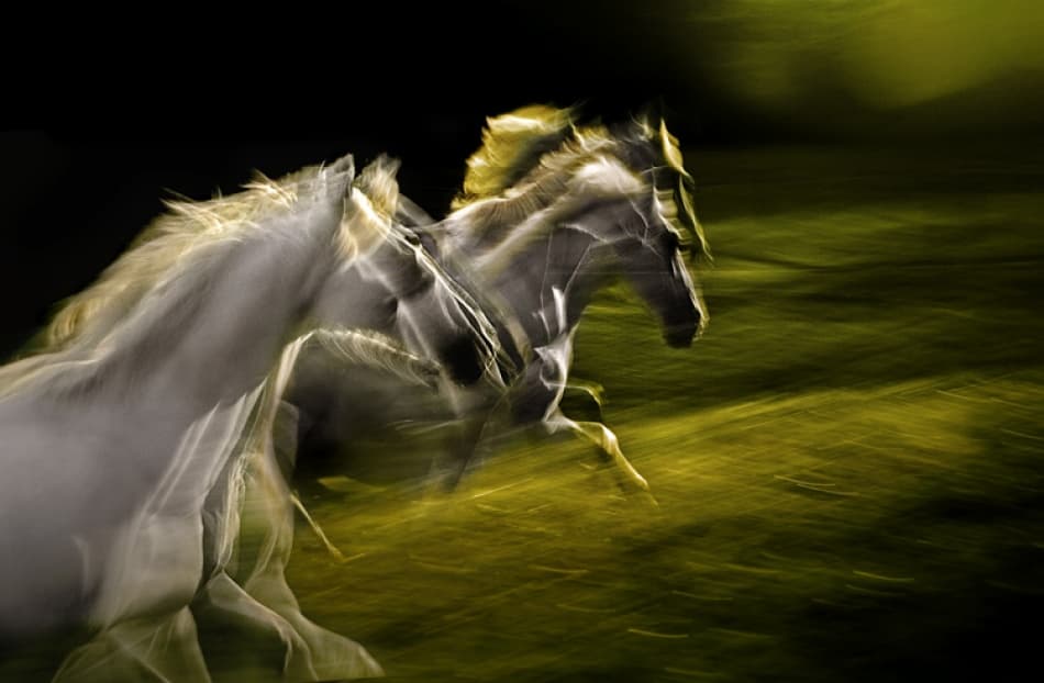 Ethereal Galloping Horses by Milan Malovrh — canvas wall art