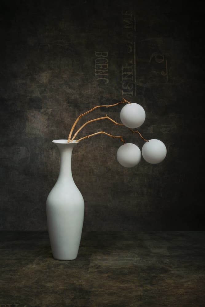 Organic White Still Life by Brig Barkow — canvas wall art
