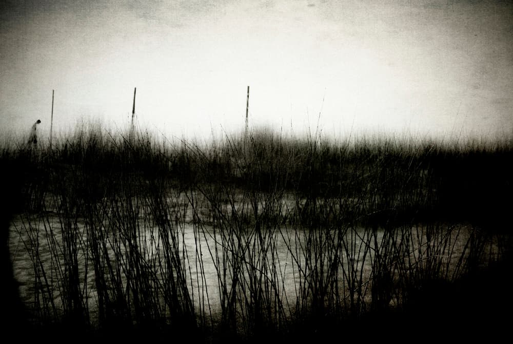 Man in Misty Marsh by Milena Seita — canvas wall art